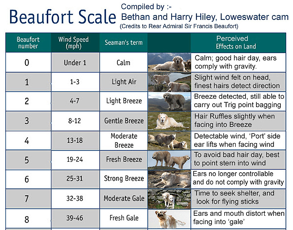Beaufort Wind Scale Chart