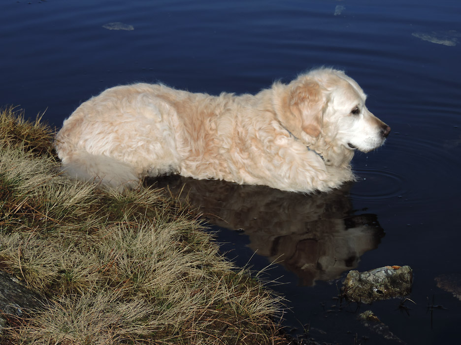 If you can't stand the cold, stay out of the water !